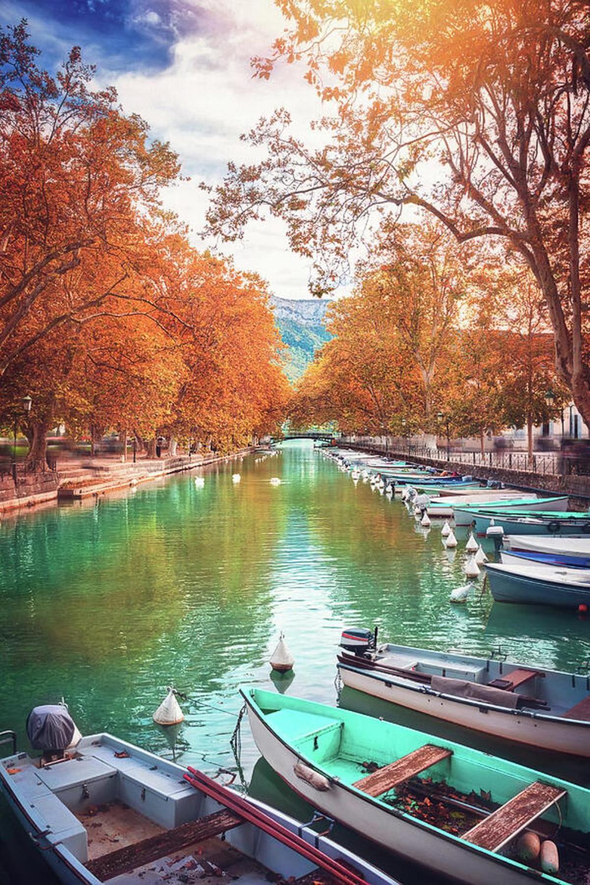 Le Coquelicot 3 Etoiles - Proche Vieille Ville, Calme & Confort Annecy Buitenkant foto